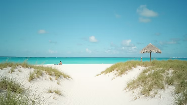 Ultimate Guide to Campgrounds in Miami