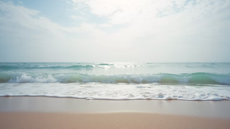 25 Best Places for Fishing in Baltra- Shore, Adventure, and Deep Sea Fishing