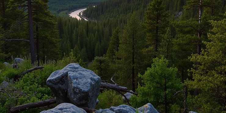 Zelenci Nature Reserve