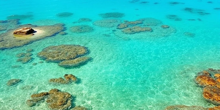 Mosquito Bay – Vieques, Puerto Rico