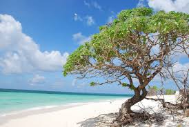 Hoang Sa Archipelago (Paracel Islands)